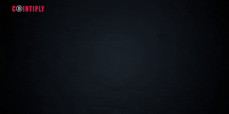 800x400_animated_v1.gif